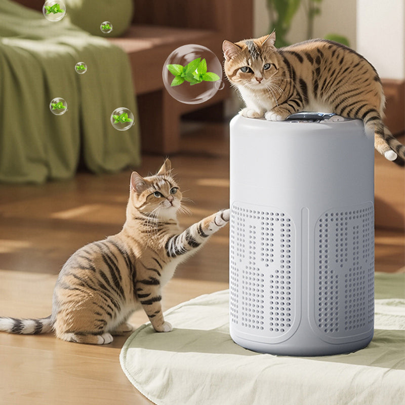 🔇Limited Offer 💐Silent Air Purifier – Peaceful sleep, no noise😴