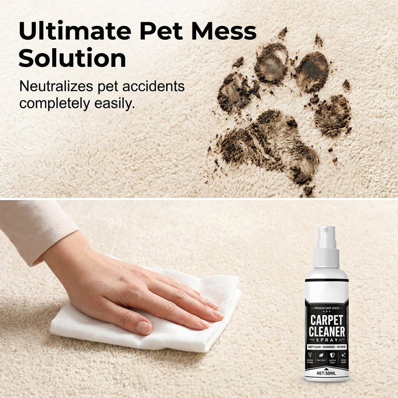 upsell🏆 🏆Last Day Special Price £9.49! 🛋️Buy 1 Get 1 Free🎁 Deep Clean Carpet Spray – Industrial-Strength Formula | Perfect for Auto Interiors, Sofas & Rugs, Effortless Stain Removal ✨